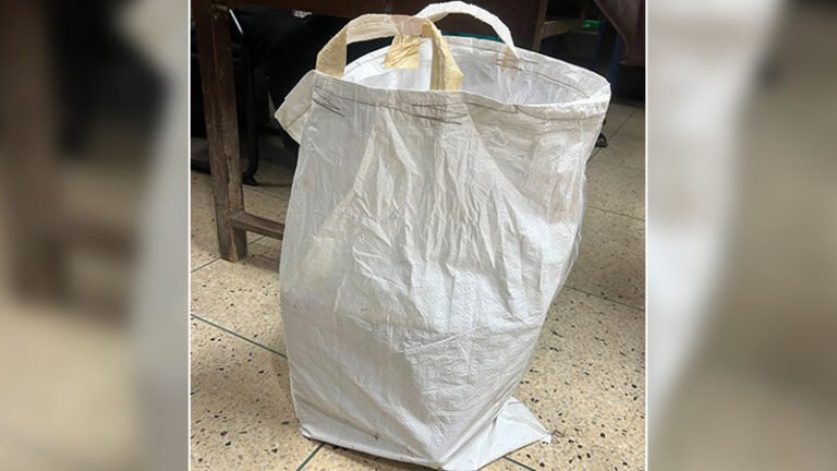 bag-1784739907