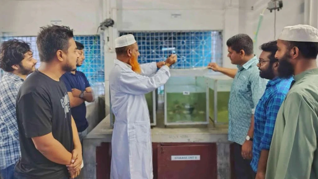 এবার ৫ প্রজাতির দেশীয় মাছে মিলল মাইক্রোপ্লাস্টিক, শীর্ষে ‘কই-বাটা’